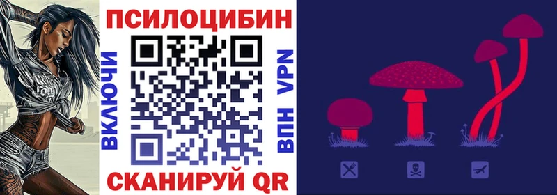 наркошоп  Вилюйск  omg как войти  Псилоцибиновые грибы Psilocybine cubensis 